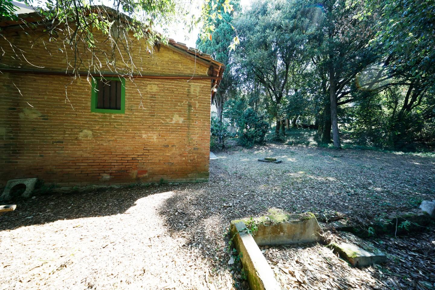 Foto annuncio 15