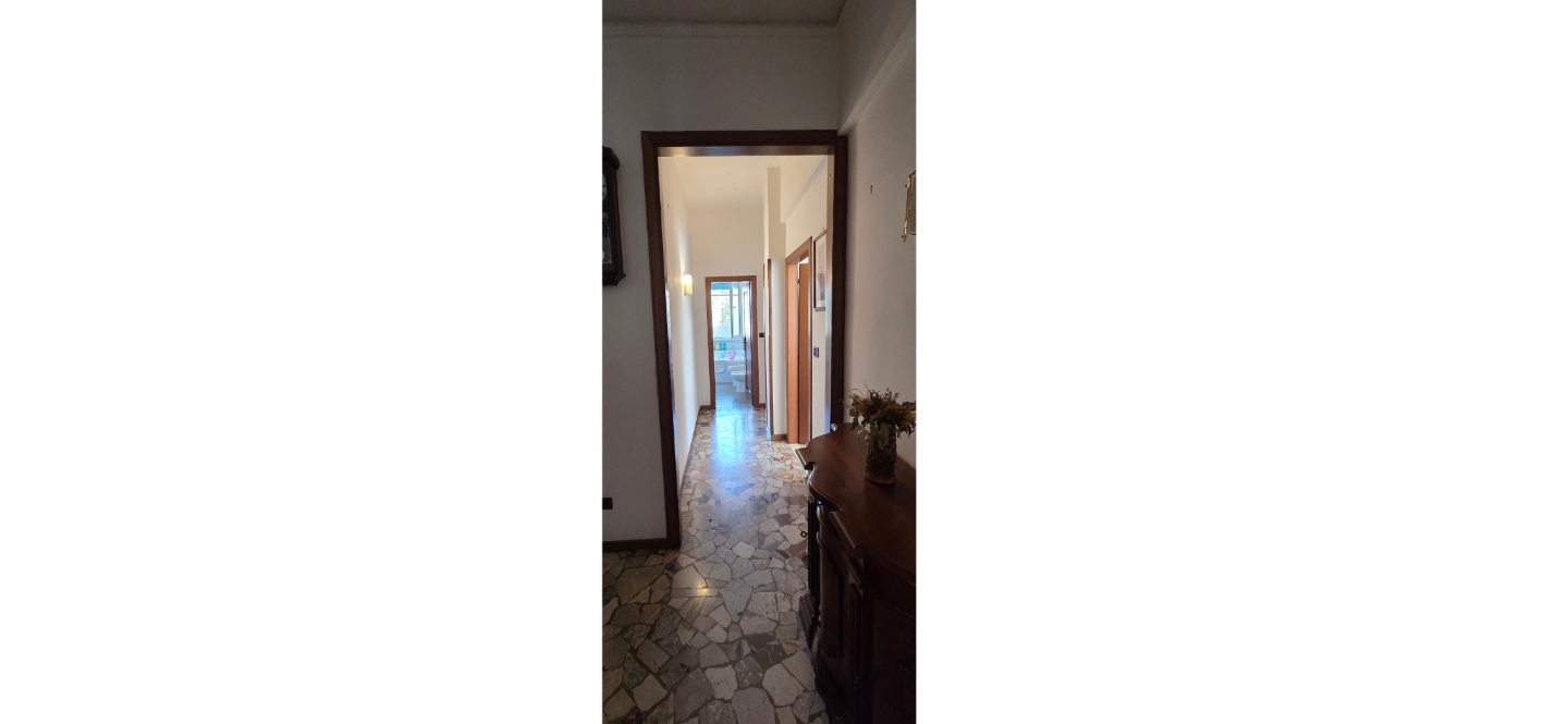 Foto annuncio 24