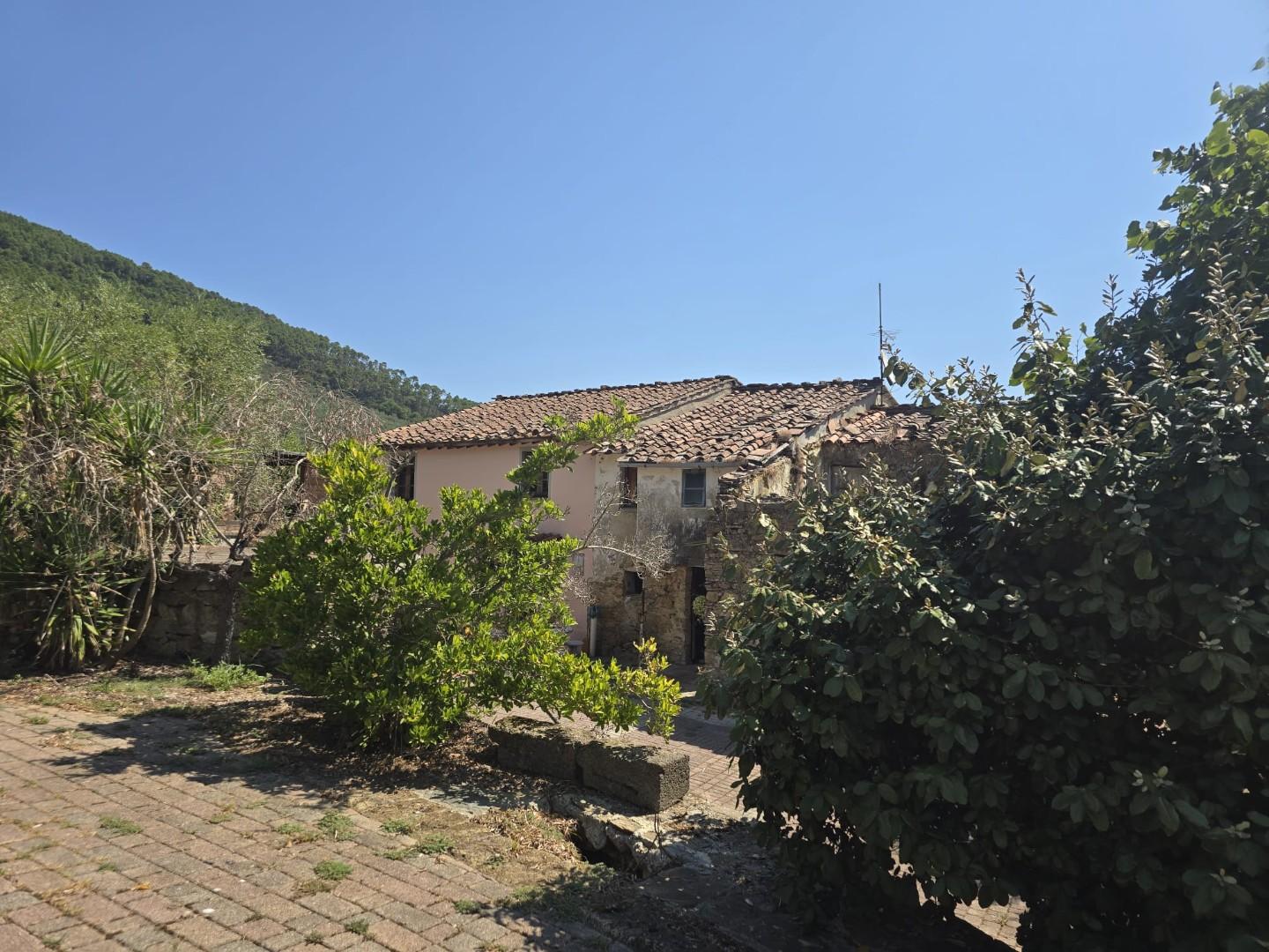 Foto annuncio 16