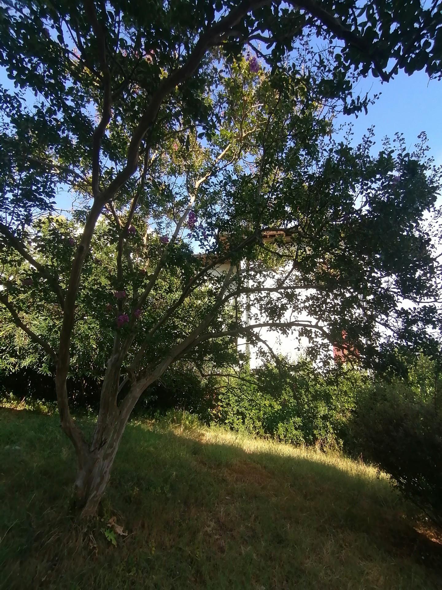 Foto annuncio 11