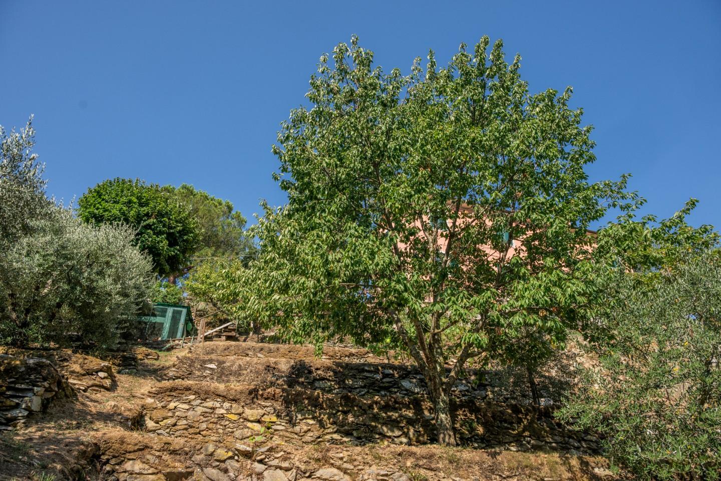Foto annuncio 47