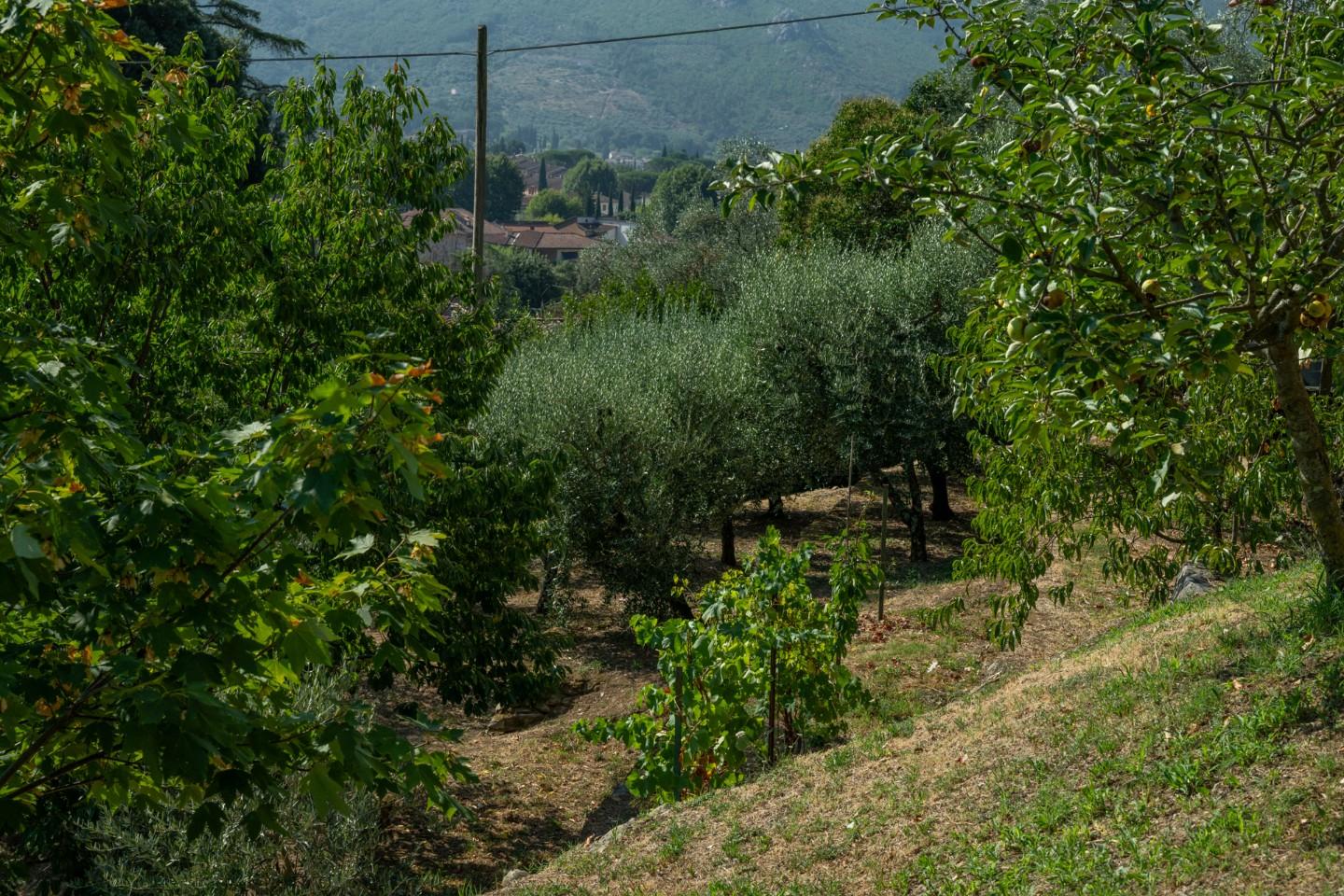 Foto annuncio 39