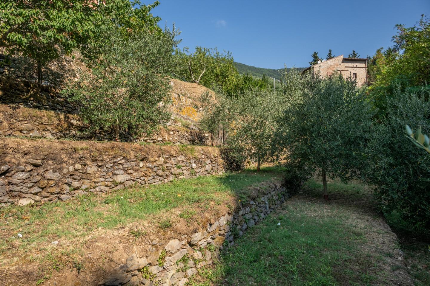 Foto annuncio 46