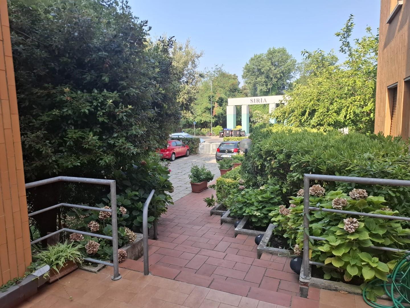 Foto annuncio 6