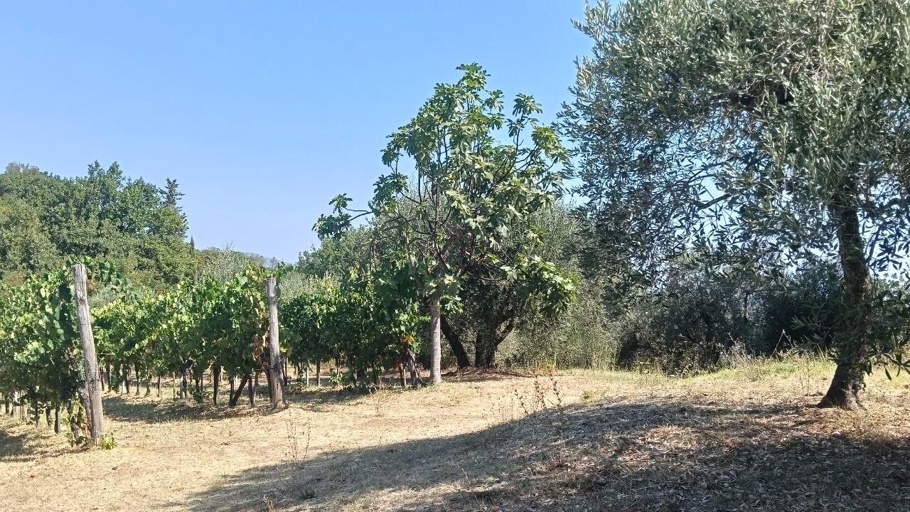 Foto annuncio 40