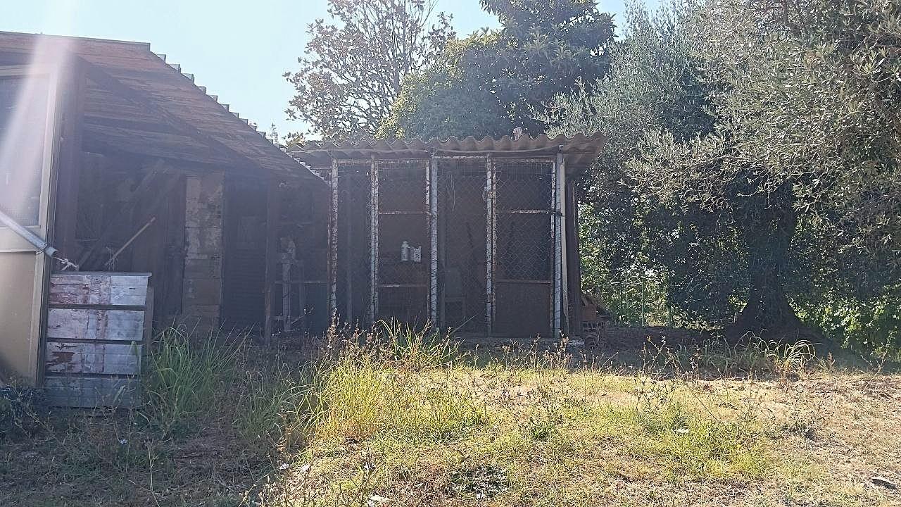 Foto annuncio 39