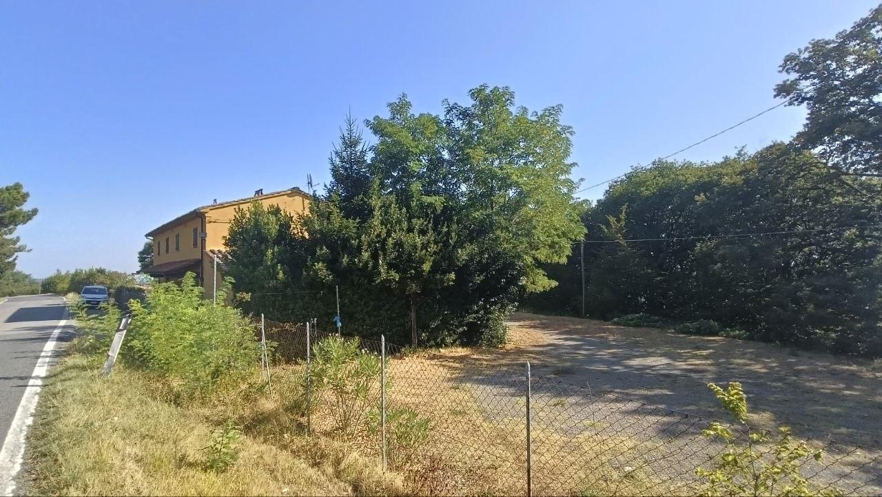 Foto annuncio 31