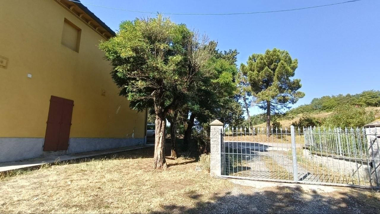 Foto annuncio 34