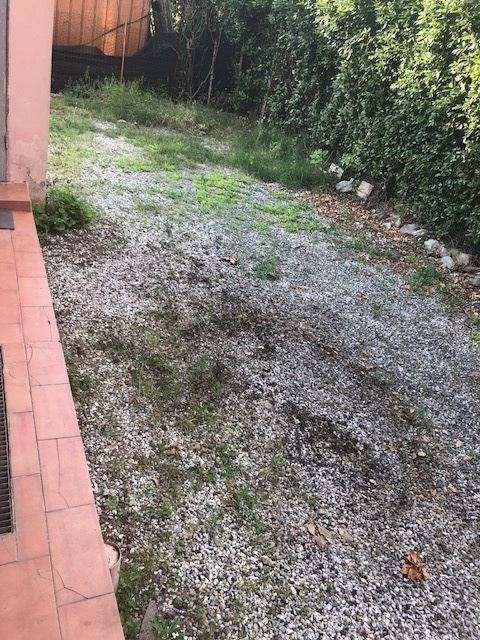 Immagine 4 di Negozio in affitto  a Massa