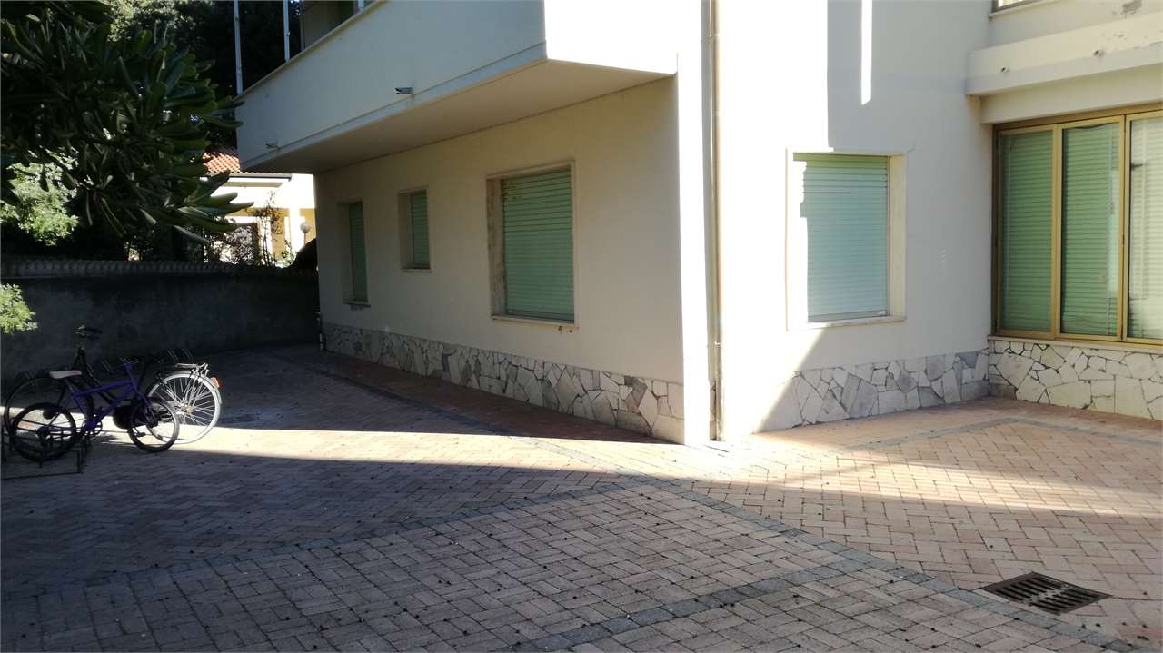 Foto annuncio 7