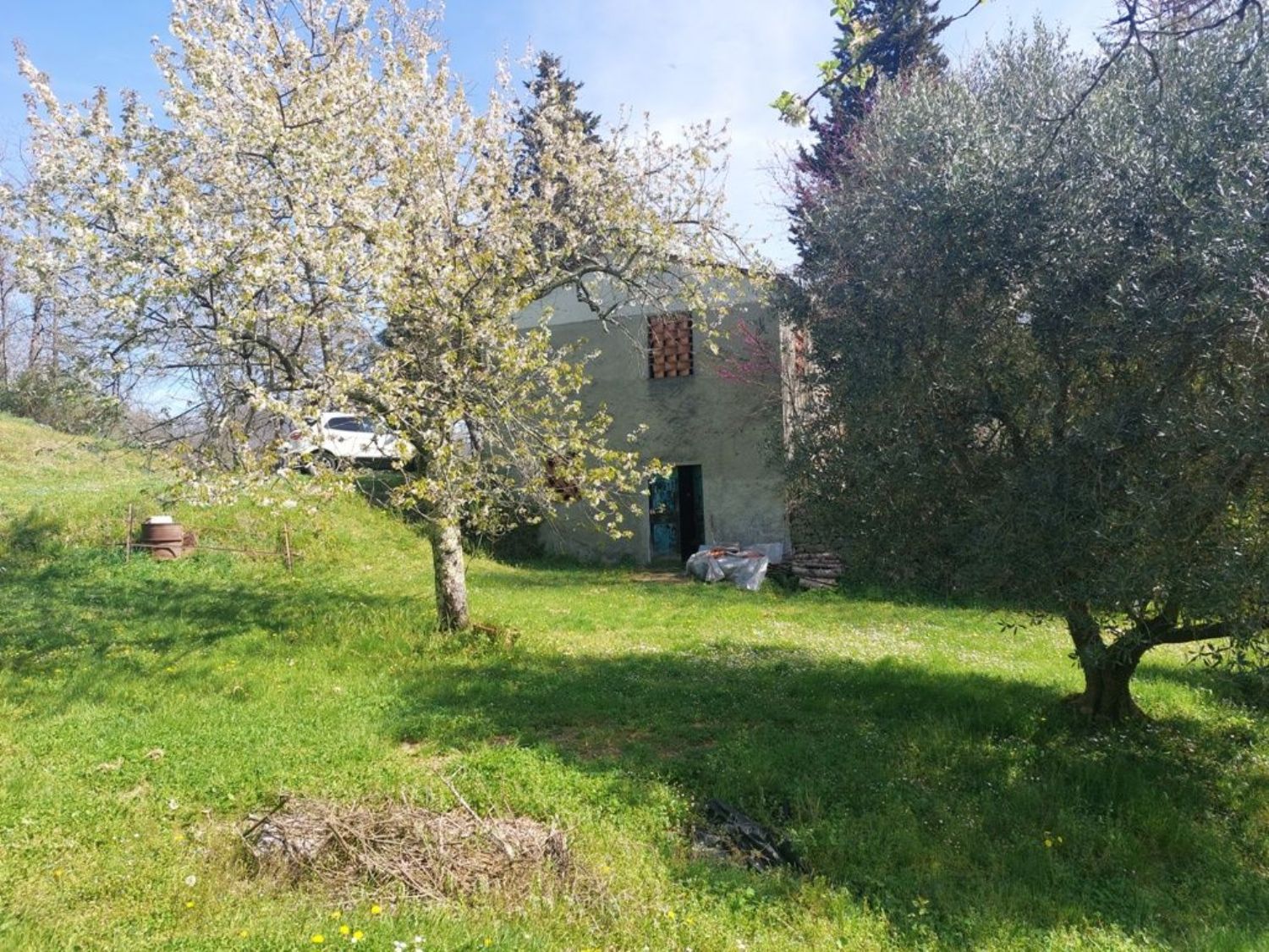 Foto annuncio 3