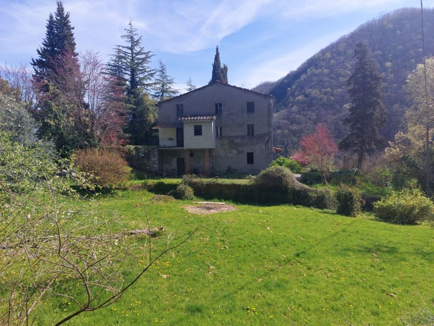 Foto annuncio 2