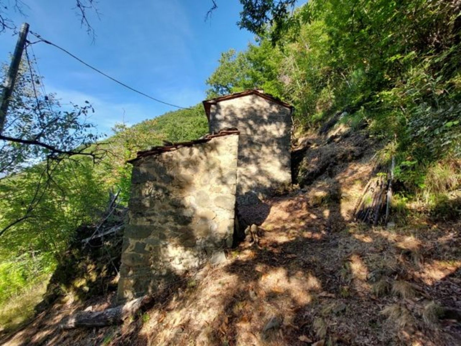 Foto annuncio 10