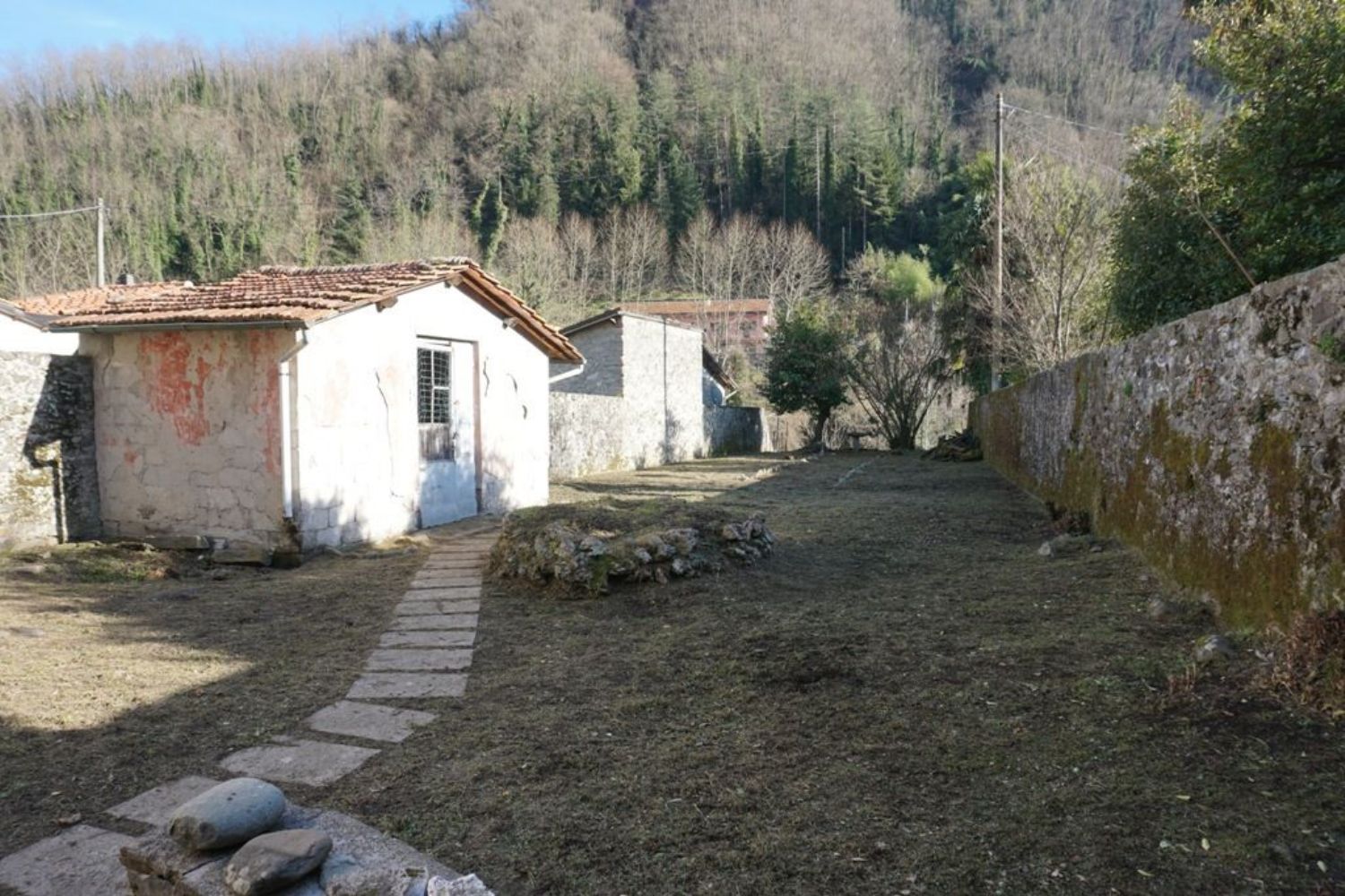 Foto annuncio 1