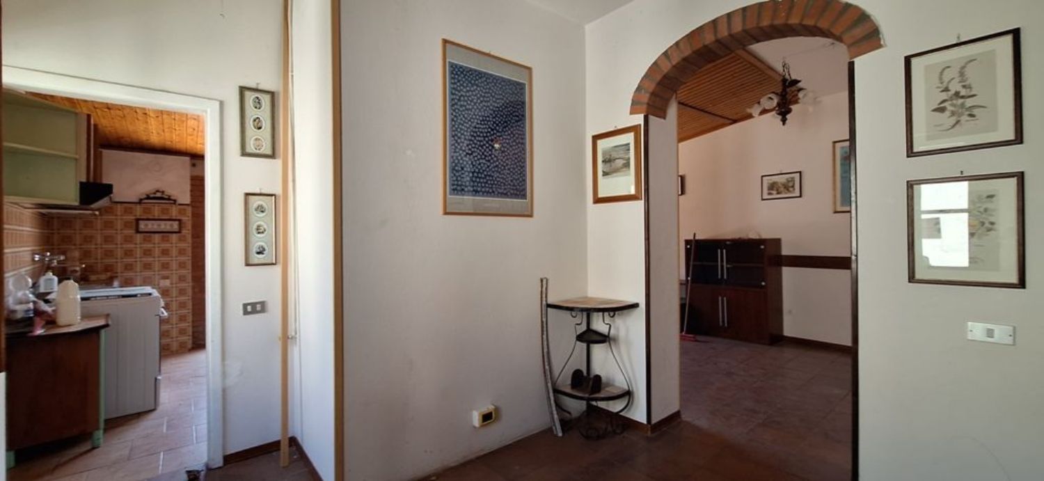 Foto annuncio 9