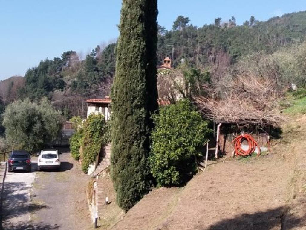 Foto annuncio 19