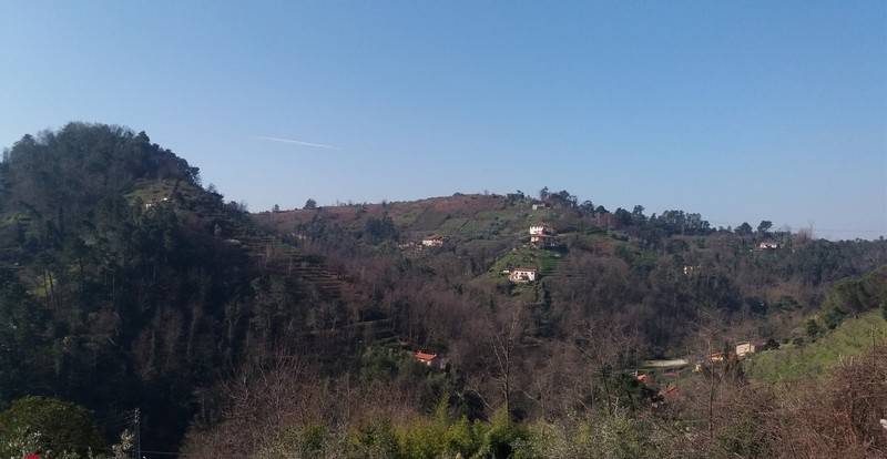 Foto annuncio 4