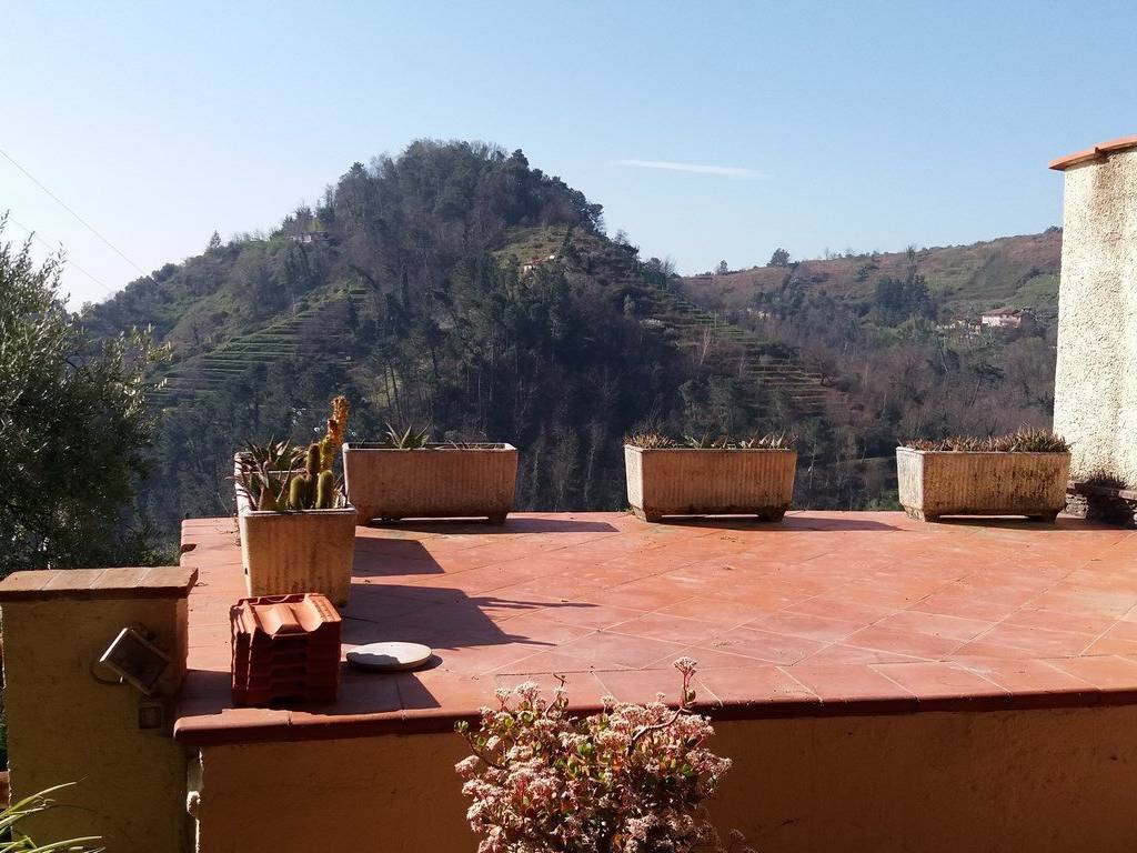 Foto annuncio 16