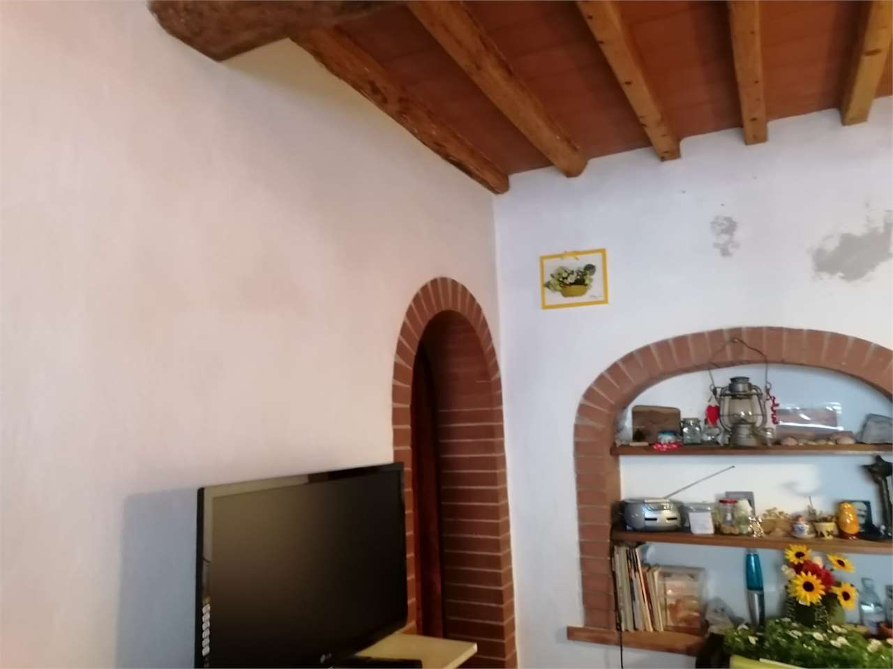 Foto annuncio 7