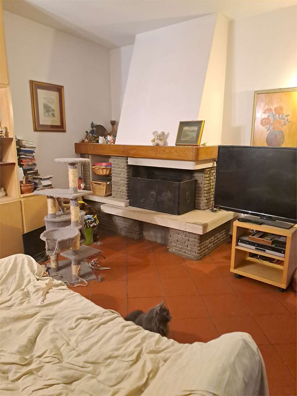 Foto annuncio 5