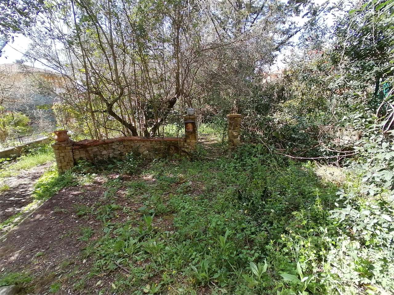Foto annuncio 1