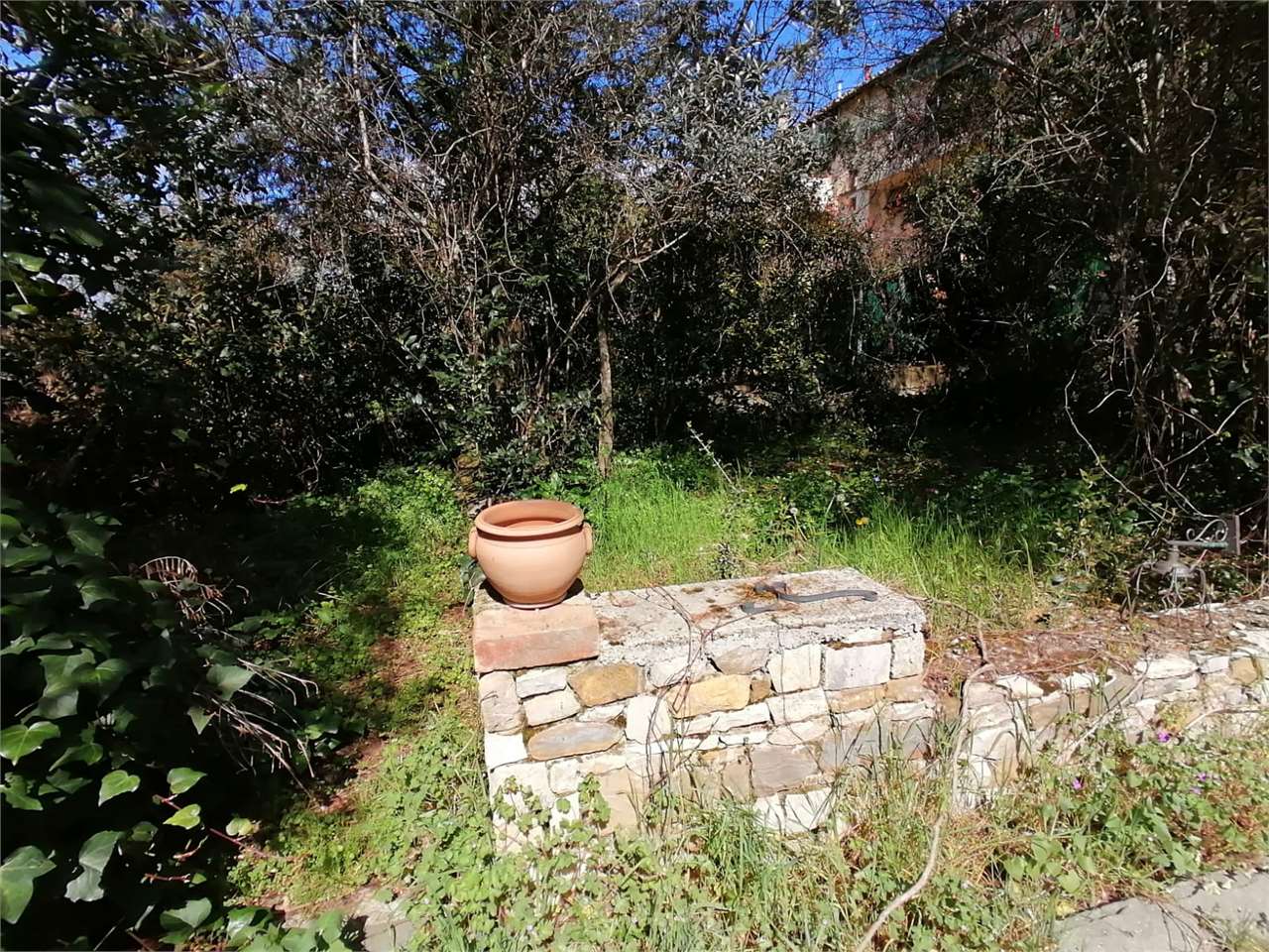 Foto annuncio 11
