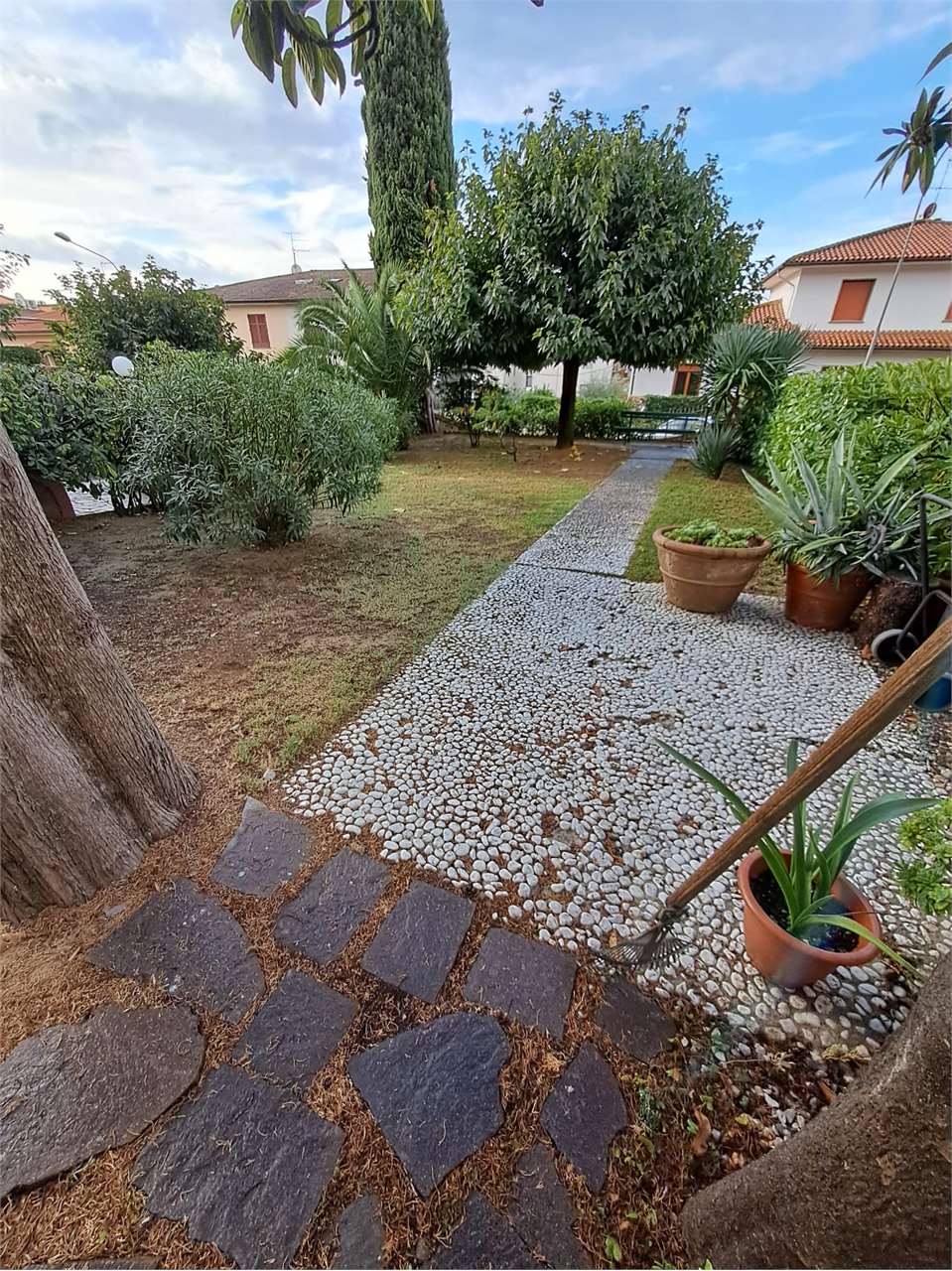 Foto annuncio 31