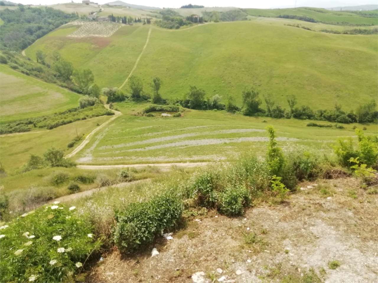 Foto annuncio 14