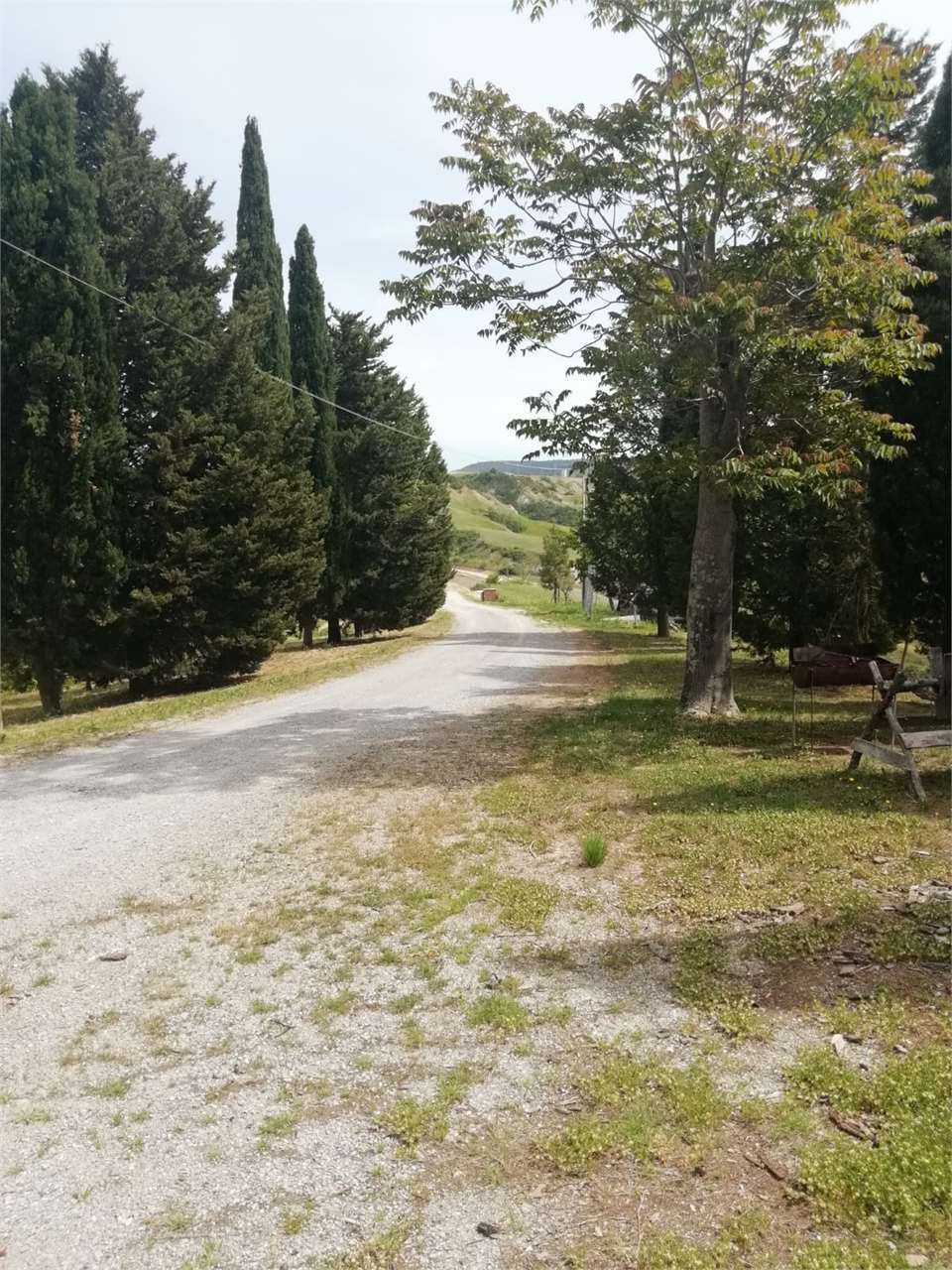 Foto annuncio 16