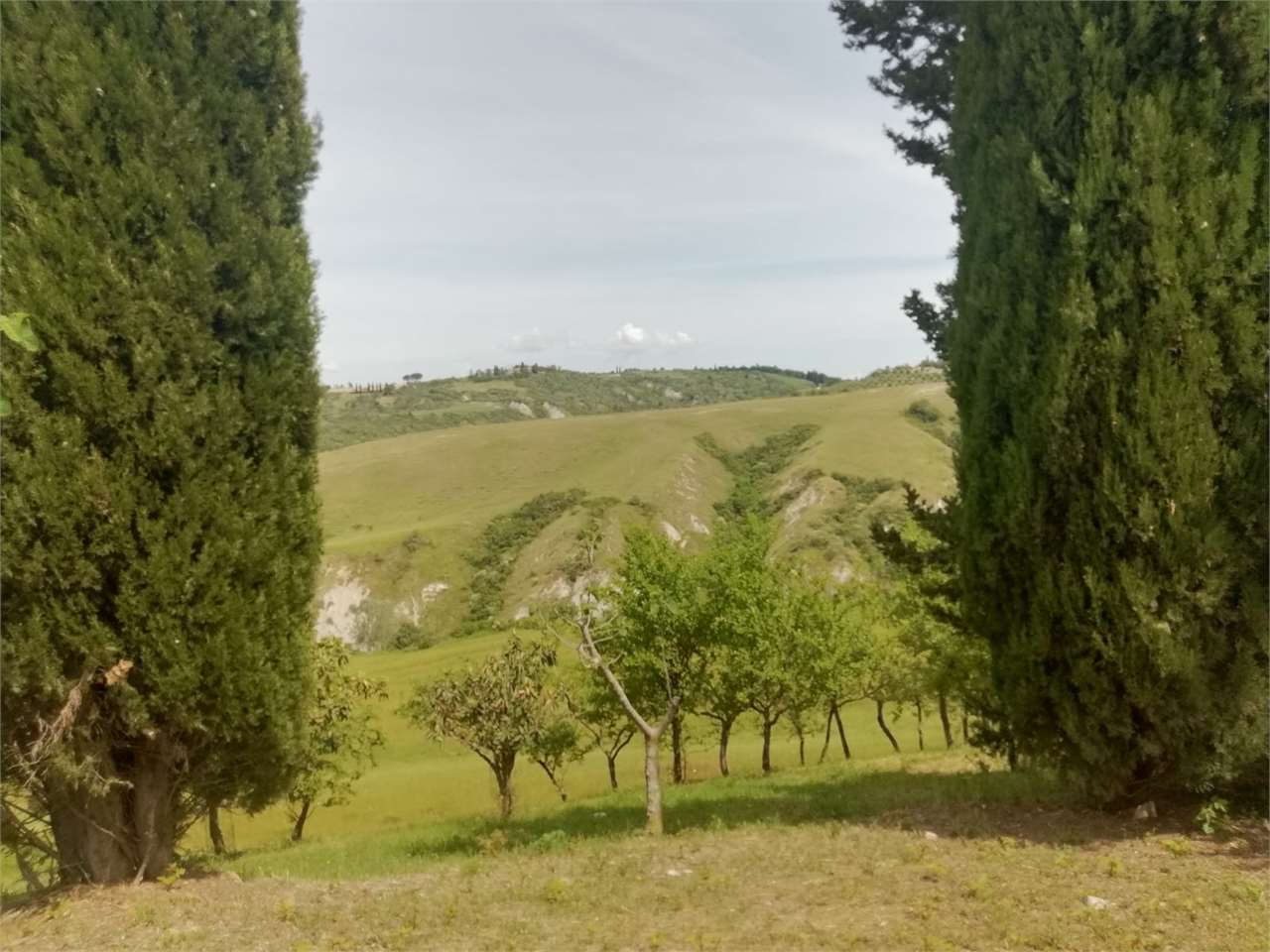 Foto annuncio 17
