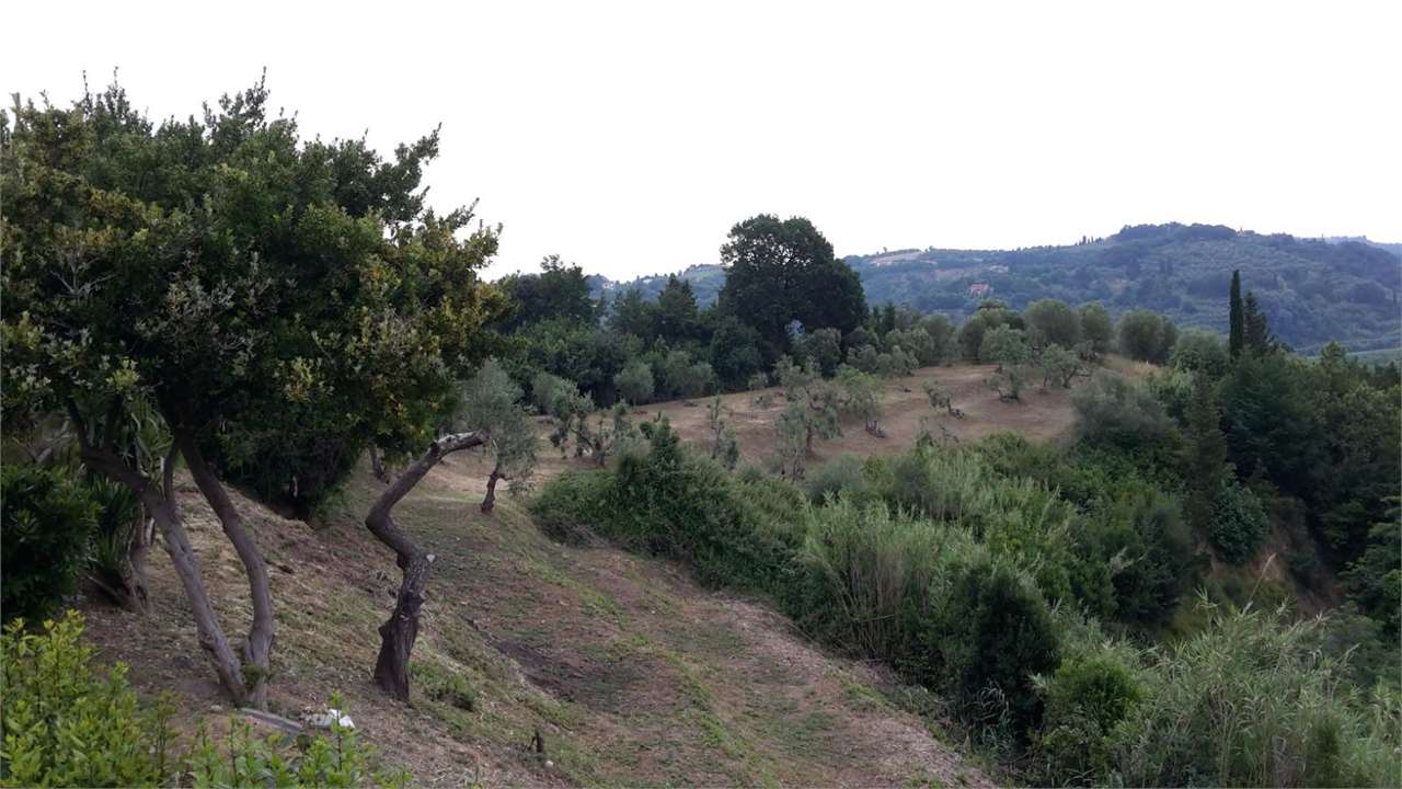 Foto annuncio 20