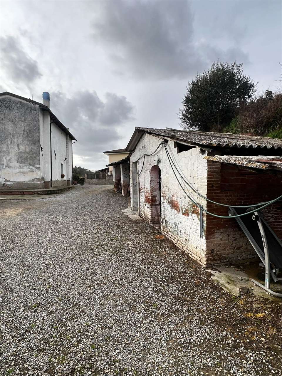 Foto annuncio 18