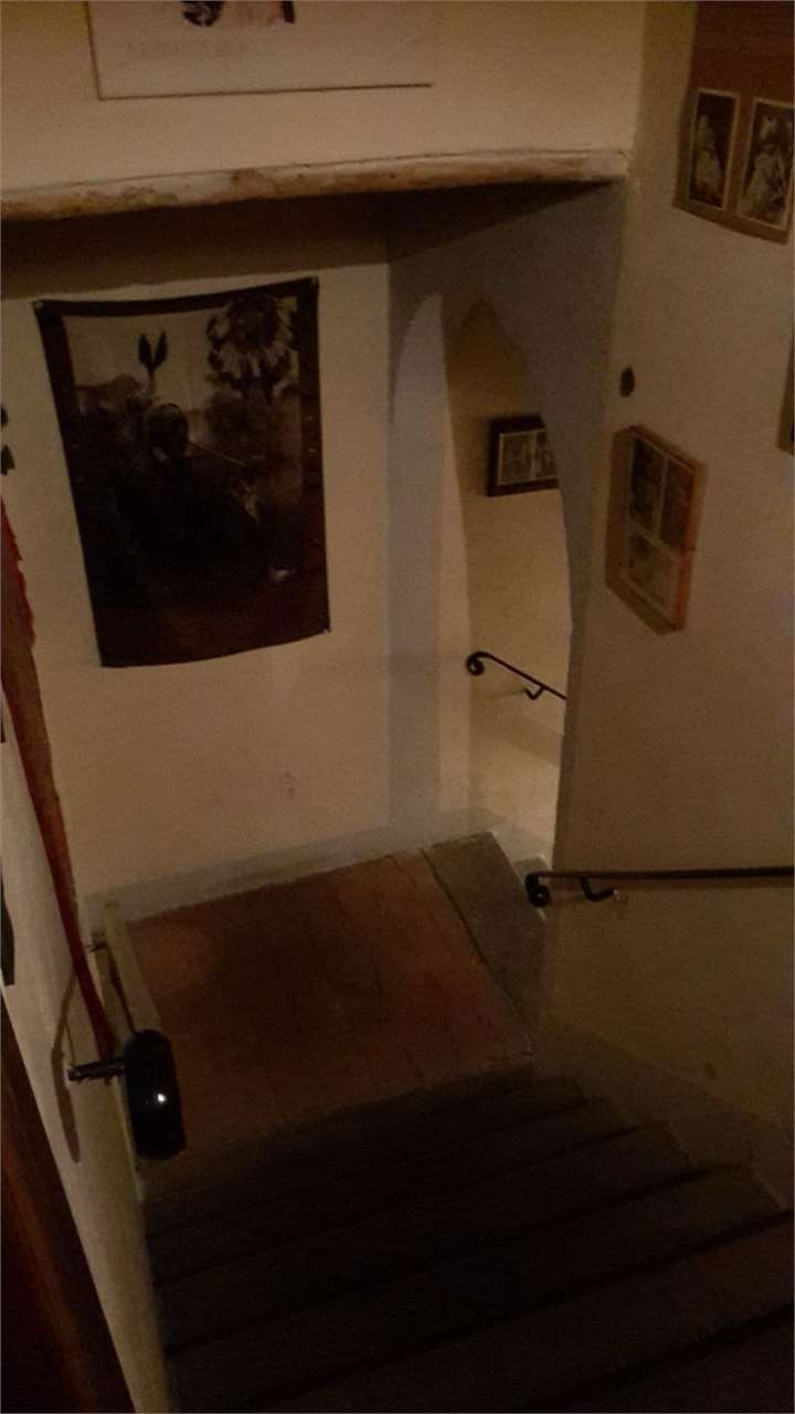 Foto annuncio 14
