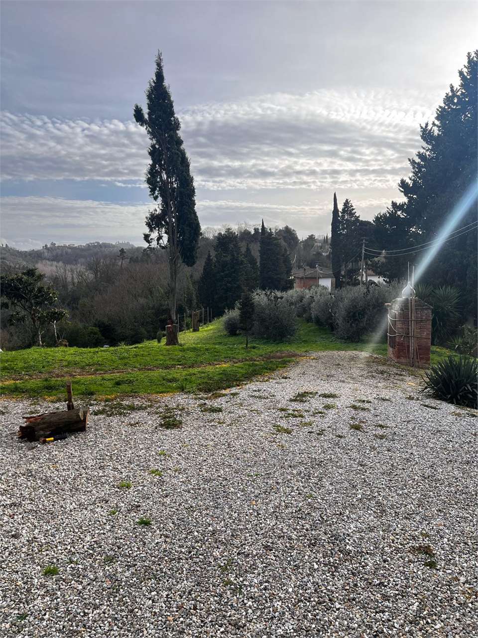 Foto annuncio 19