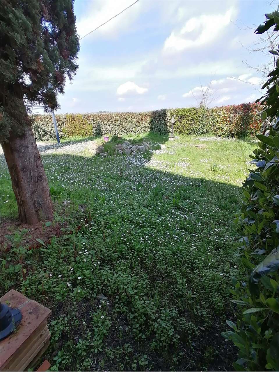 Foto annuncio 25