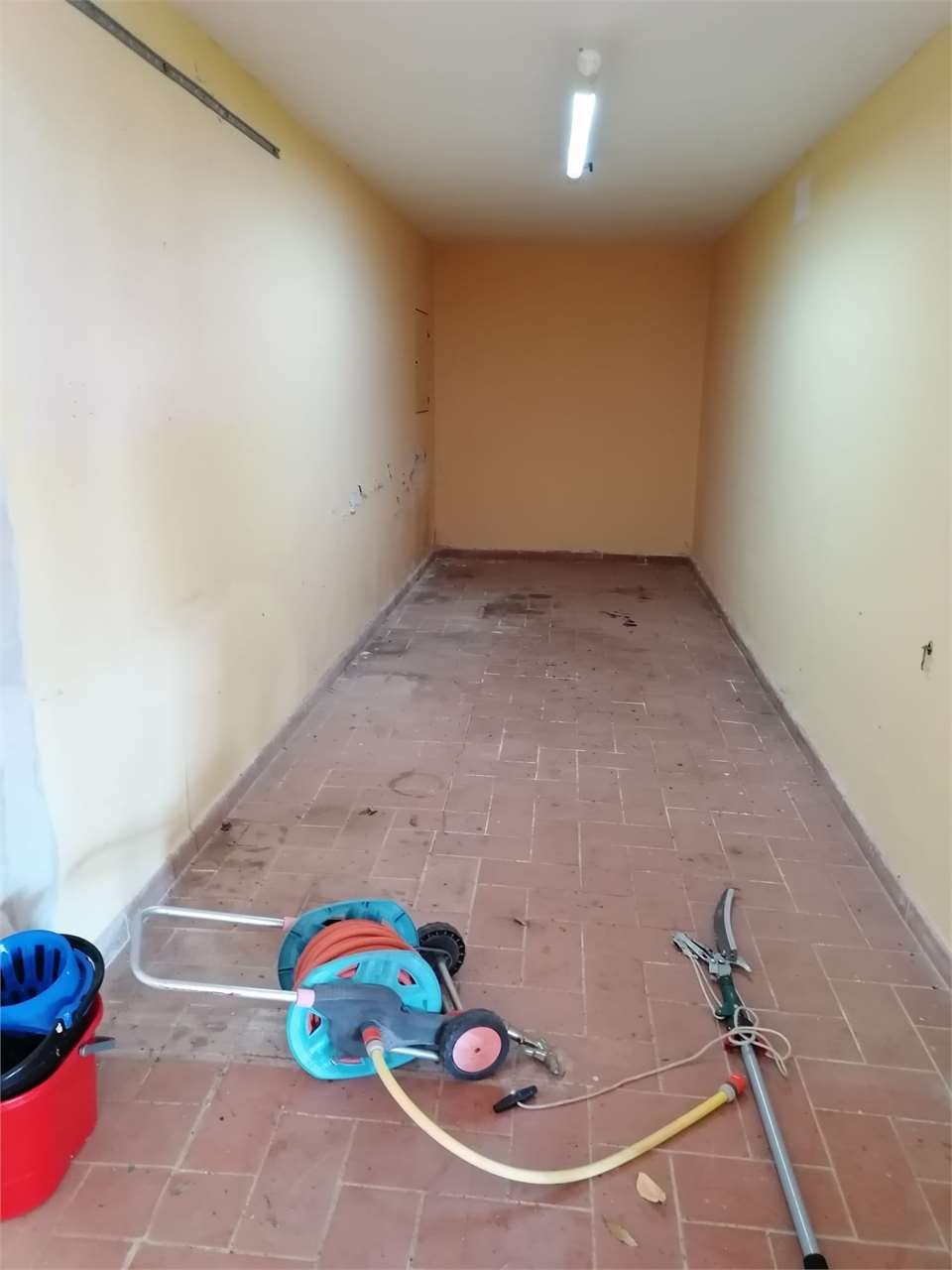 Foto annuncio 36