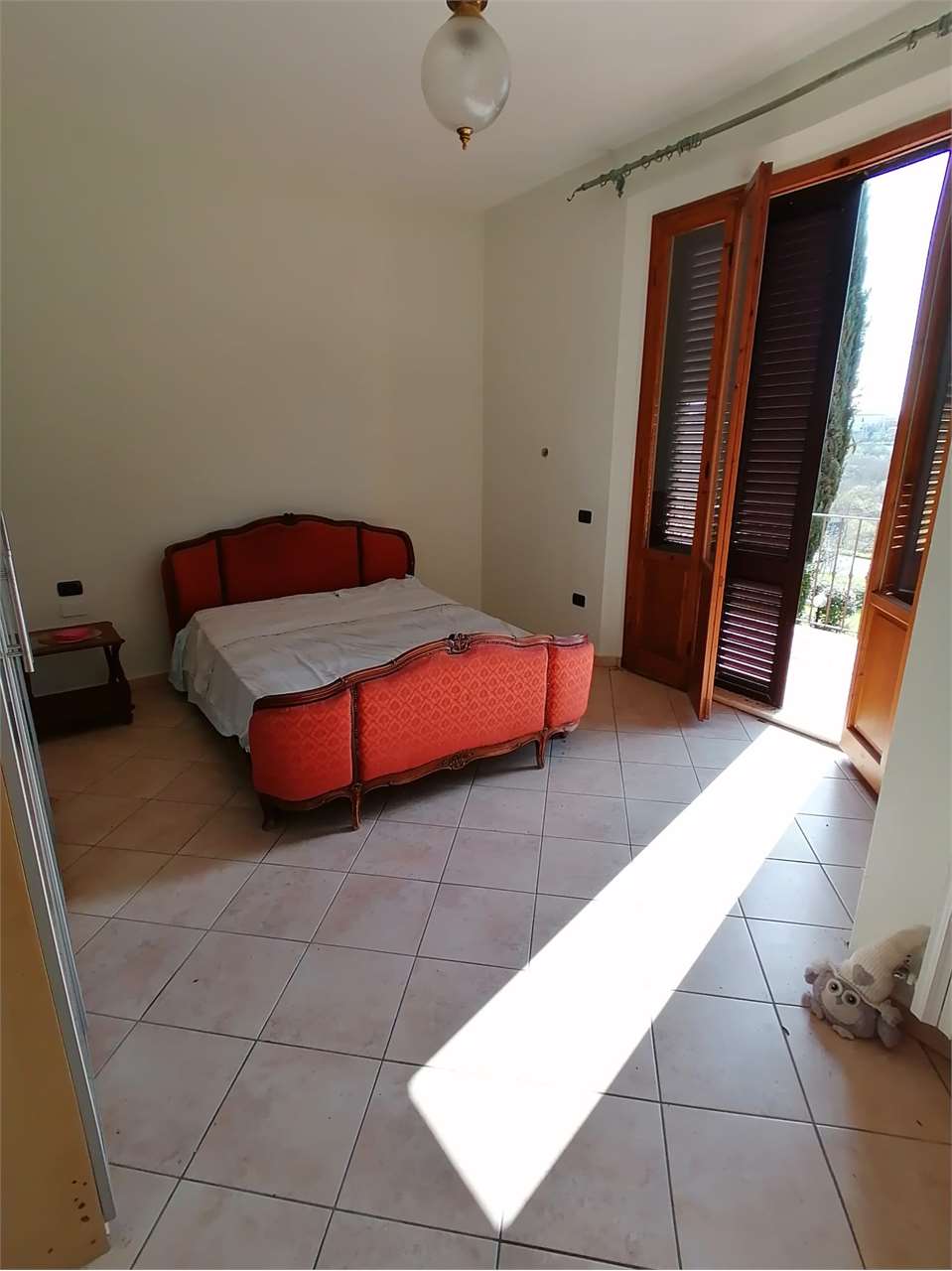 Foto annuncio 29