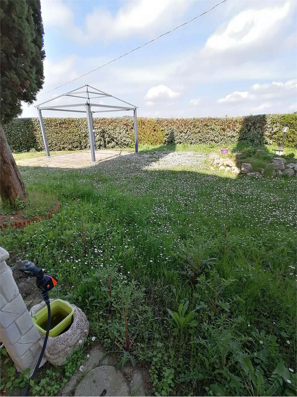 Foto annuncio 3