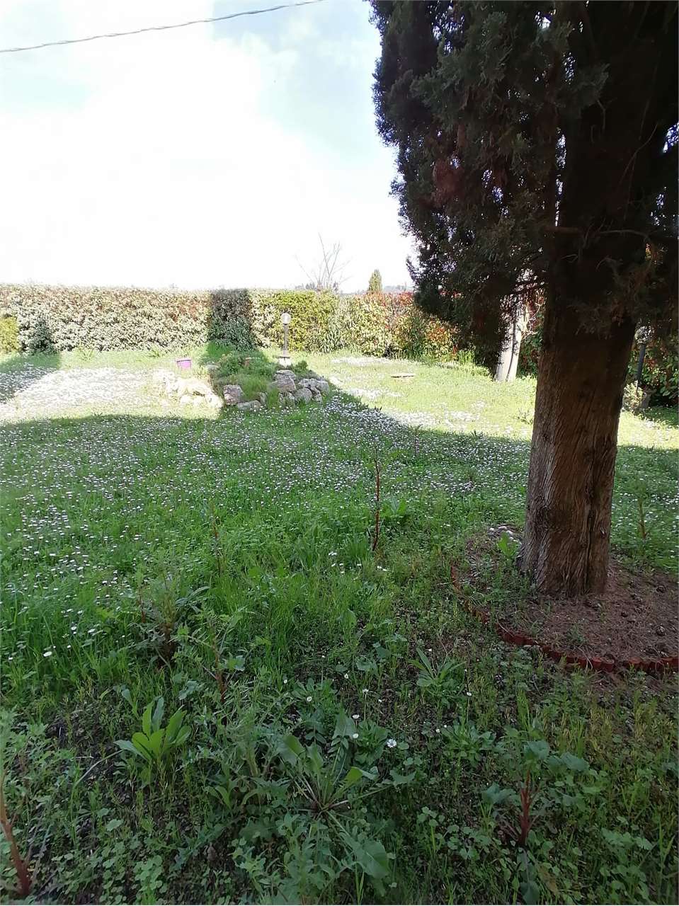 Foto annuncio 4