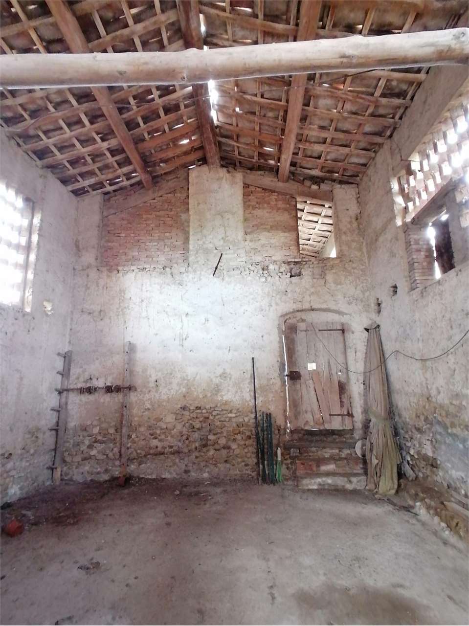 Foto annuncio 10