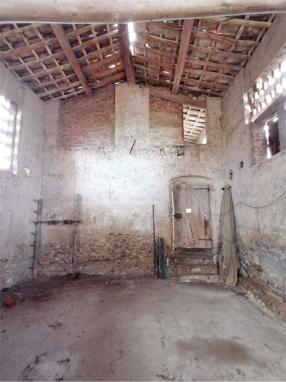 Foto annuncio 11
