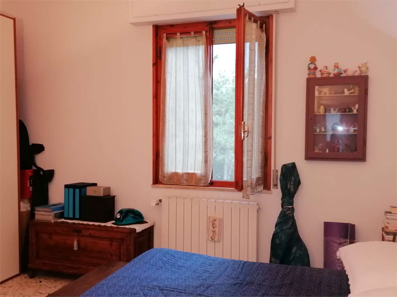 Foto annuncio 11