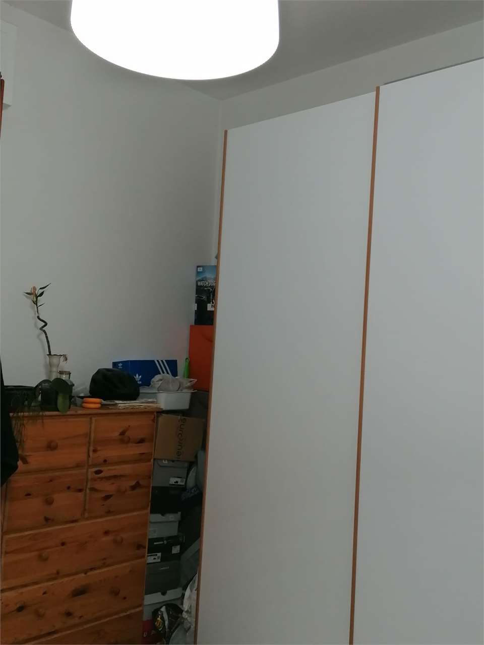 Foto annuncio 12