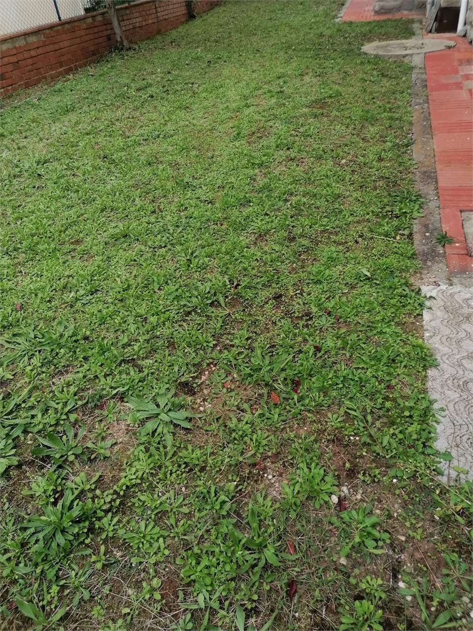 Foto annuncio 24