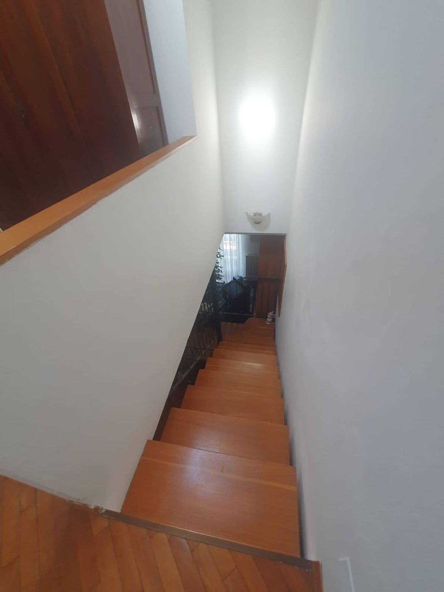Foto annuncio 21