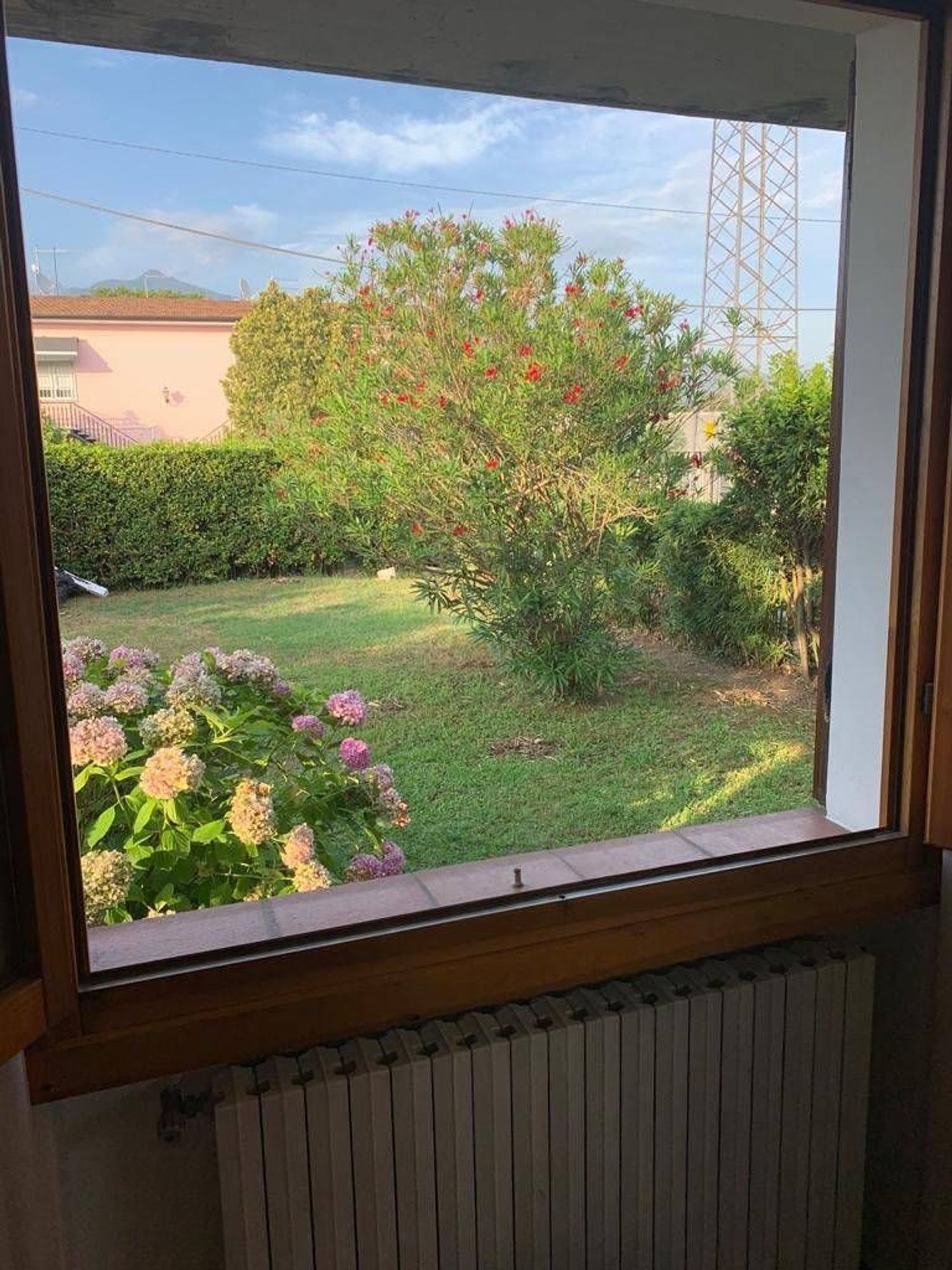 Foto annuncio 11