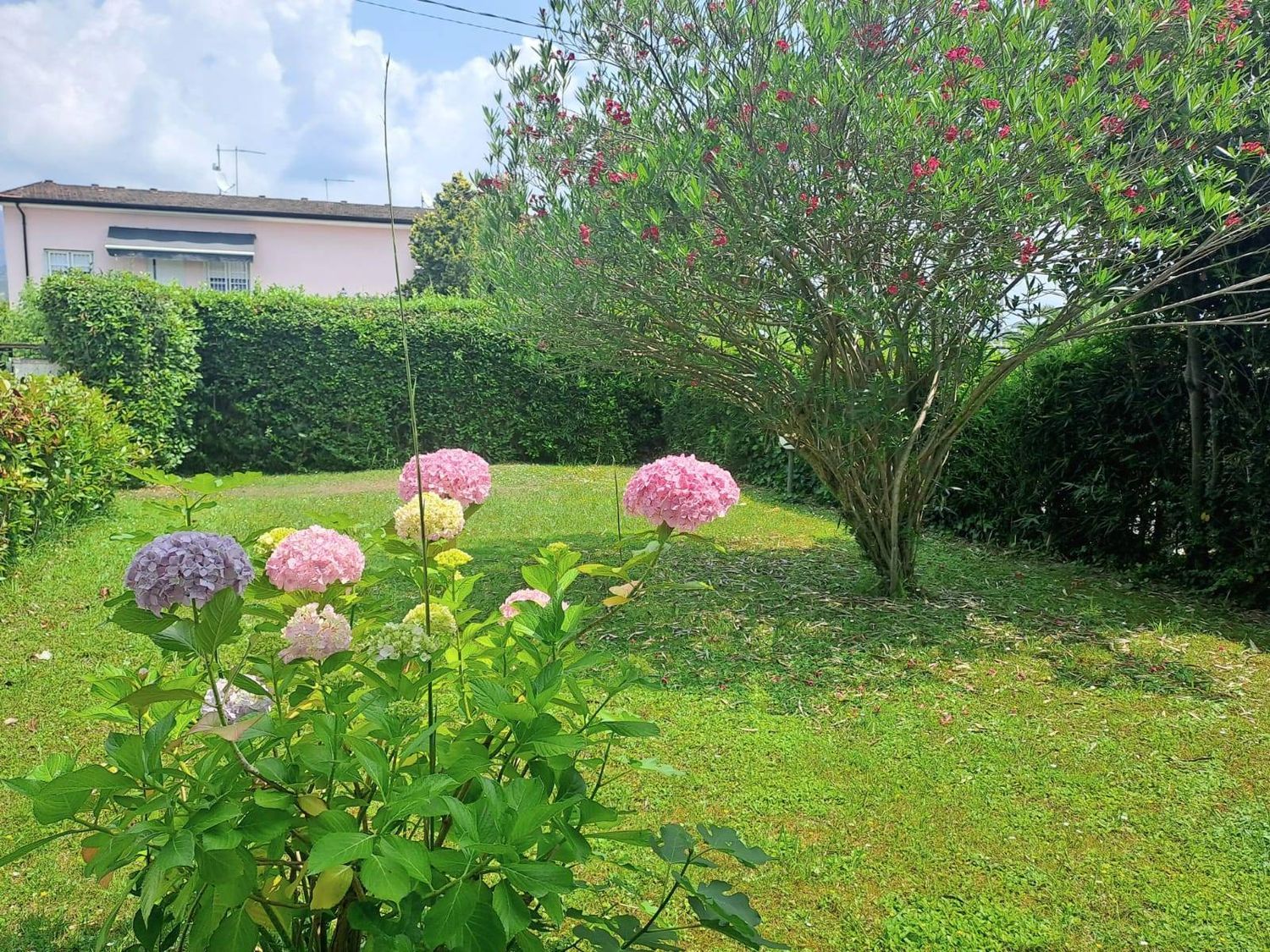 Foto annuncio 25