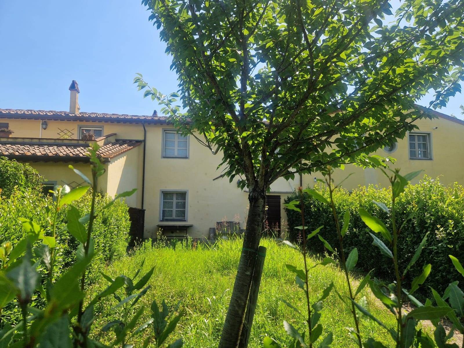 Foto annuncio 19