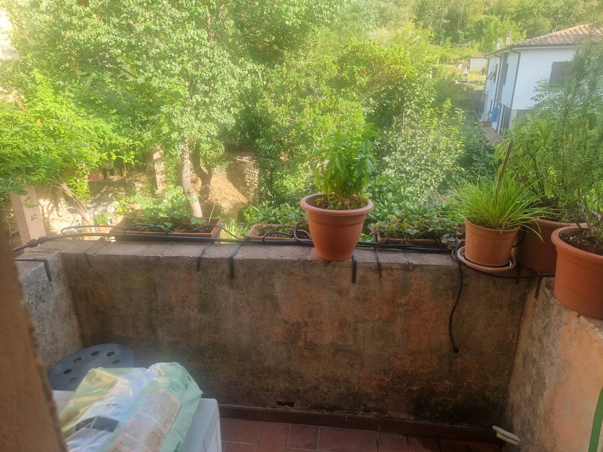 Foto annuncio 21