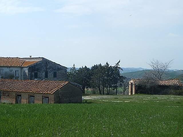 Foto annuncio 8